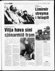 Síða 3