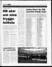 Síða 12