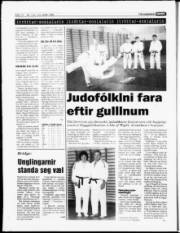 Síða 13
