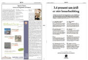 Síða 2