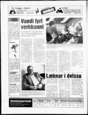 Síða 19