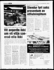 Síða 3