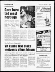 Síða 5