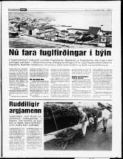 Síða 7