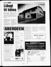 Síða 3