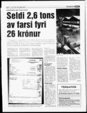 Síða 6