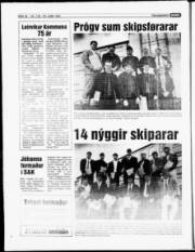 Síða 15