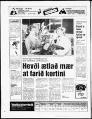 Síða 19