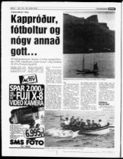 Síða 4