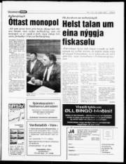 Síða 5