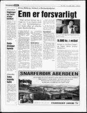 Síða 3