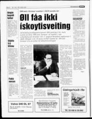 Síða 6