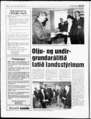 Síða 8