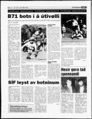 Síða 13