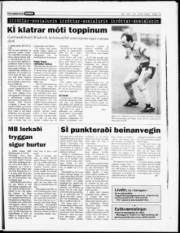 Síða 14