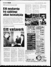 Síða 3
