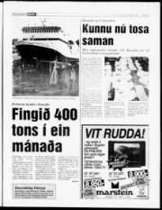 Síða 5