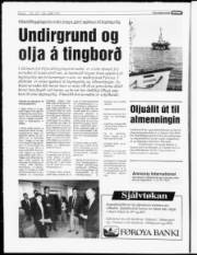 Síða 8