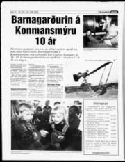 Síða 10