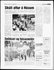Síða 17