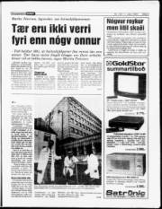 Síða 5