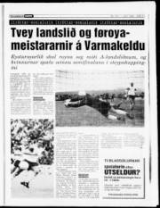 Síða 12