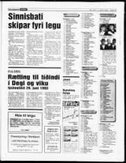 Síða 18