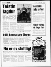Síða 3