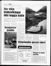 Síða 5