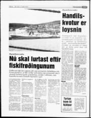 Síða 6