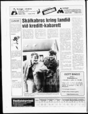 Síða 23