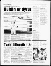 Síða 5