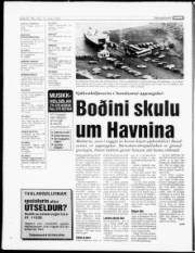 Síða 19
