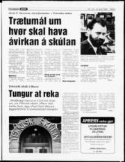 Síða 3