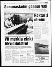 Síða 4