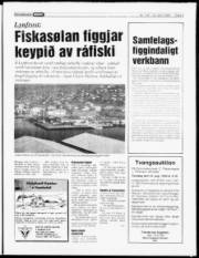Síða 5