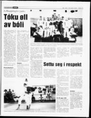 Síða 12