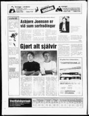 Síða 19