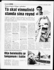 Síða 3