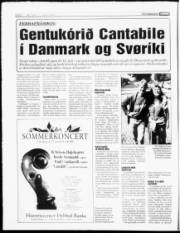 Síða 6