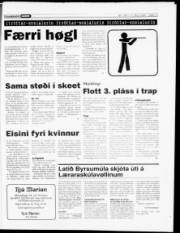 Síða 14