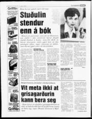 Síða 4
