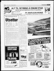Síða 6