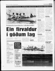 Síða 11