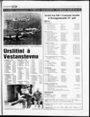 Síða 12