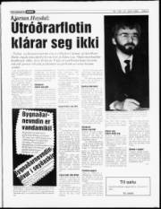 Síða 3