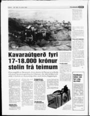 Síða 6