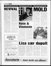 Síða 7