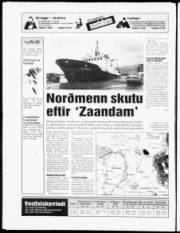 Síða 15