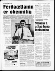 Síða 3